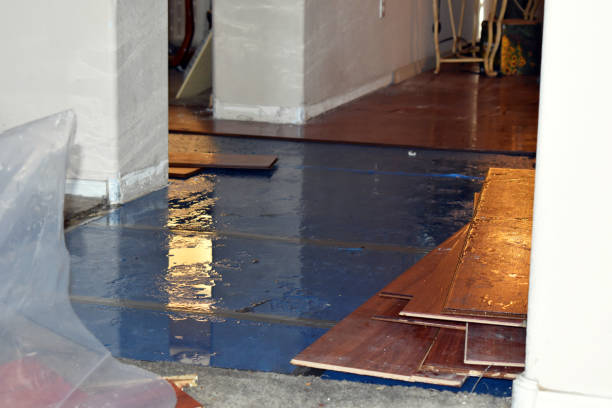 Professional Water Removal technician working in Palms, MI